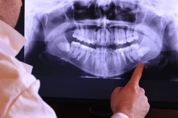 Best Emergency X-Rays and Diagnostics in Petersburg, IL