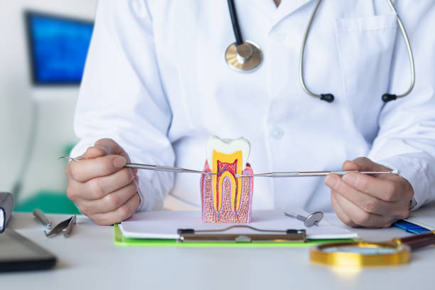 Best After-Hours Dental Care in Petersburg, IL
